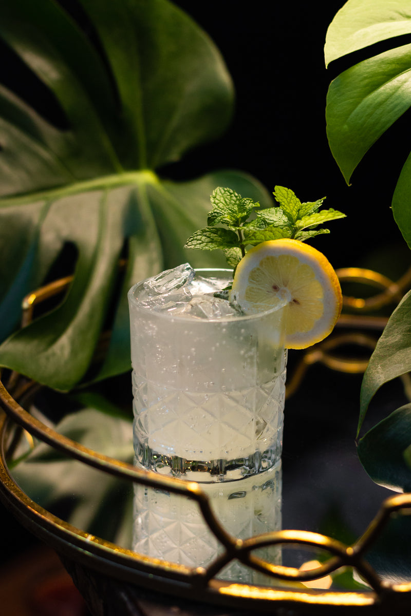 Parkside Fizz – Green Door Distilling